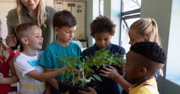 climate science education