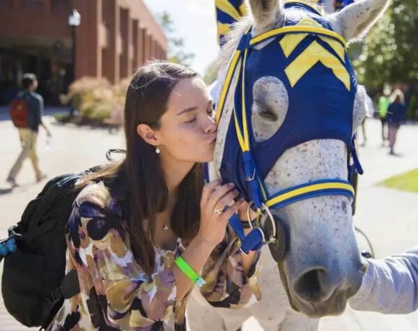 woman kissing horse