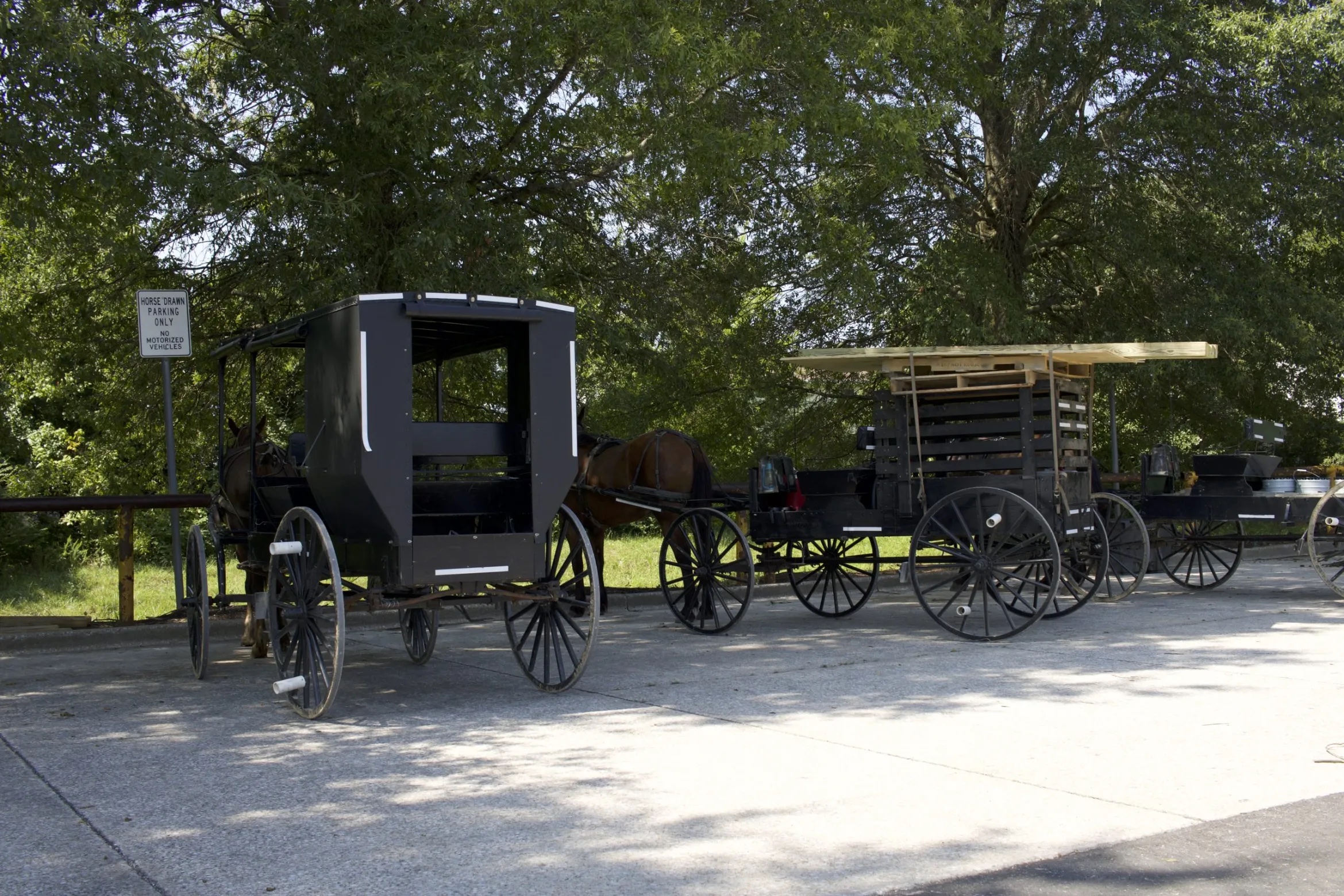 buggies in parking areas