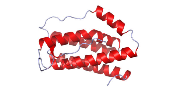 IL6_Crystal_Structure.rsh