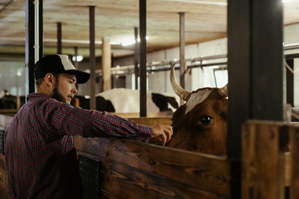 young dairy farmer