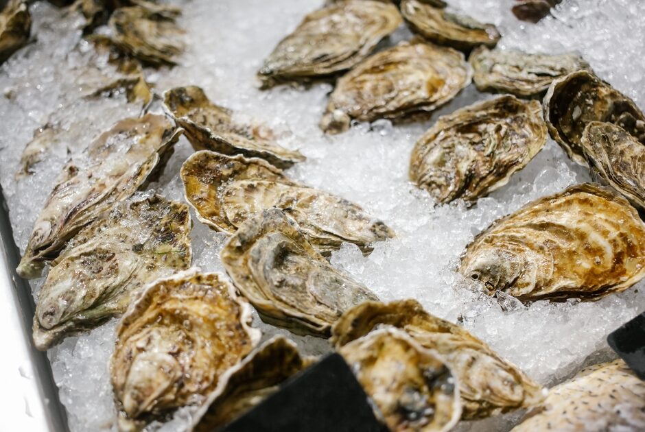 oysters