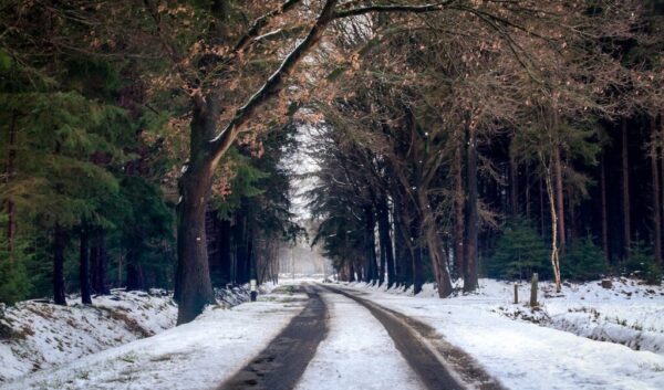 winter scene
