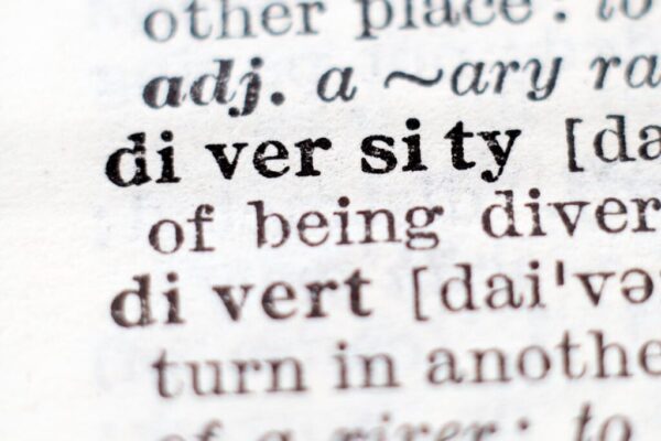 diversity page in dictionary
