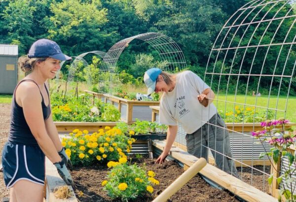 mitchellcountygivinggardens