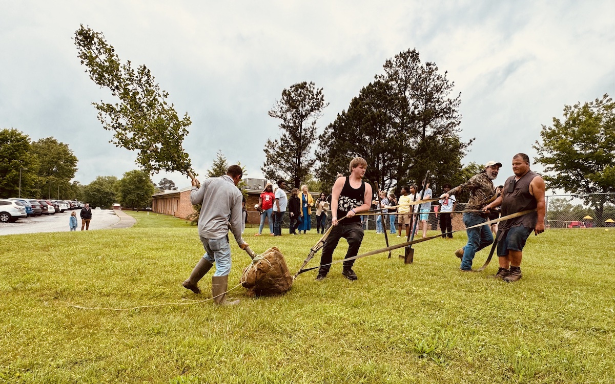 A crew working for Superlawn & Garden Center pulls a Ginkgo biloba tree on Tuesday, May 14, 2024, to the lawn of Indian Hills Elementary School. (Hoptown Chronicle photo by Jennifer P. Brown)