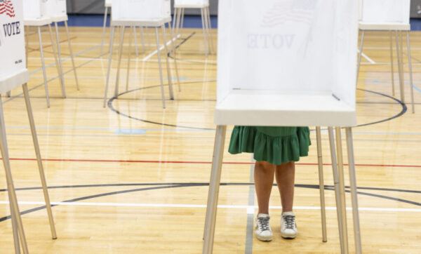 voter at booth