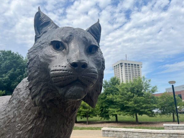 UK wildcat statue