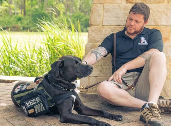 service-dog-file-20240621-17-st0y2l