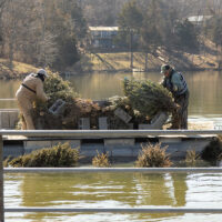 trees being dropped into lake