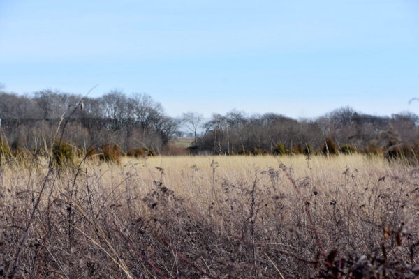 Logan co. prairie