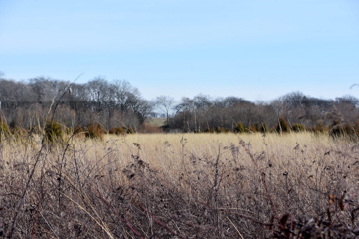 Hall’s Prairie in Logan County. (Photo courtesy University of Kentucky)