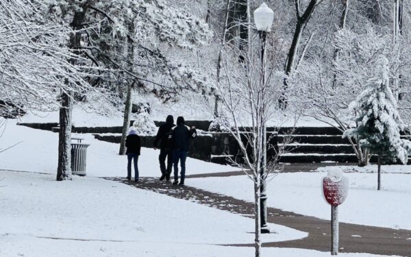snow walkers