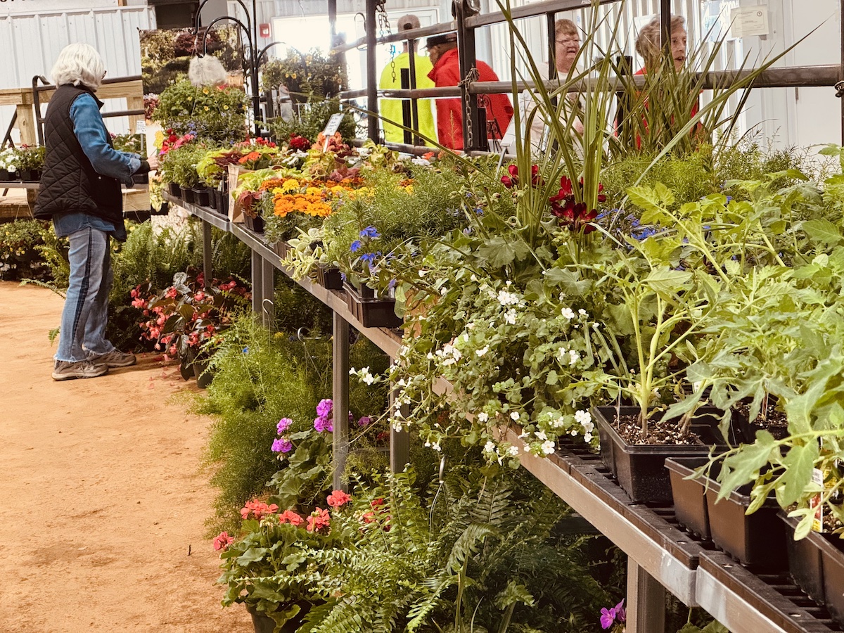 garden expo 2025