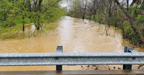 flooded little river