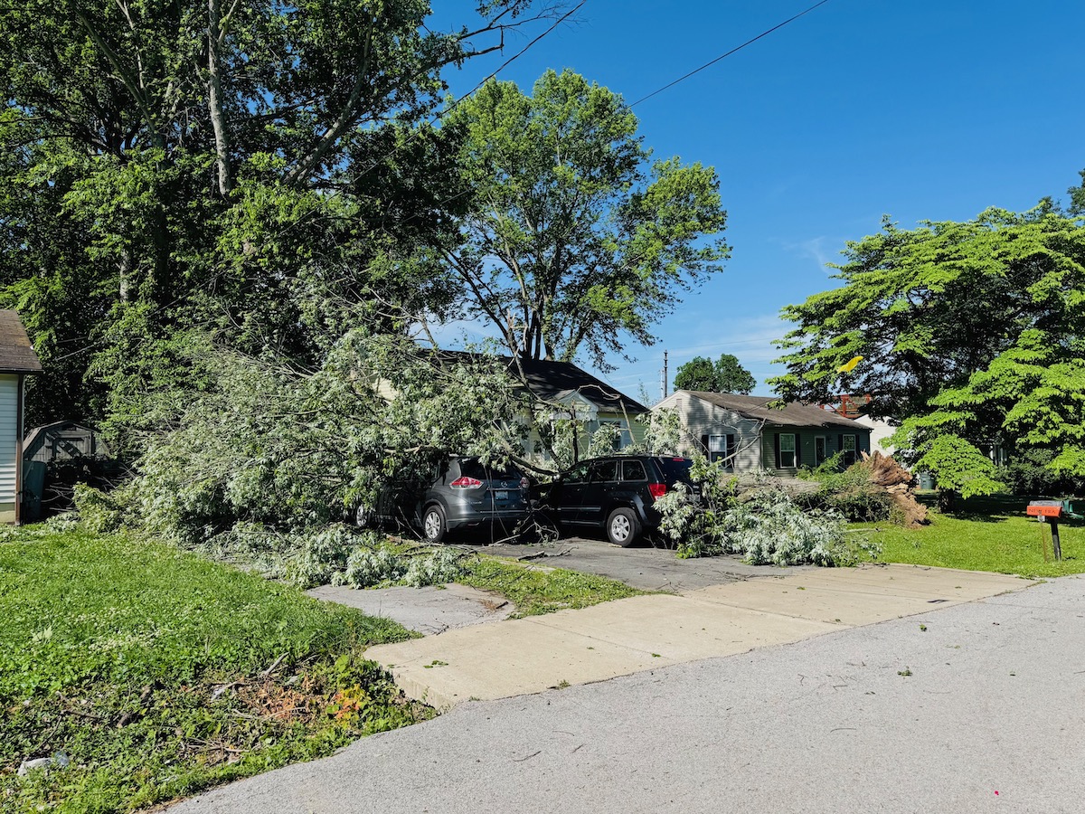 A tree uprooted on Dell Drive in a storm late Friday, May 16, 2025, covers two cars in a driveway. (Hoptown Chronicle photo by Jennifer P. Brown)