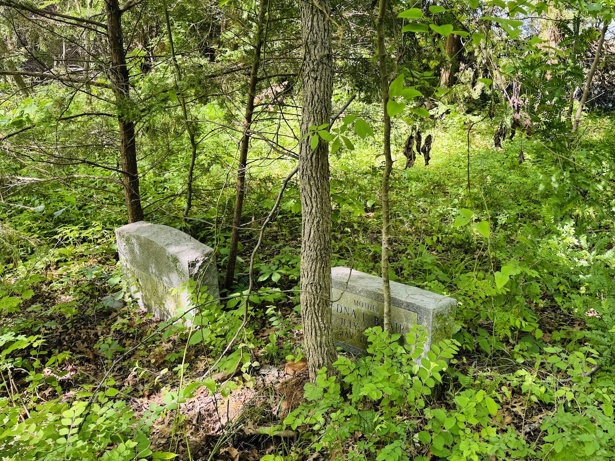 Only two headstones are visible in a cemetery at the old Wiggins farm in South Christian. (Hoptown Chronicle photo by Jennifer P. Brown)