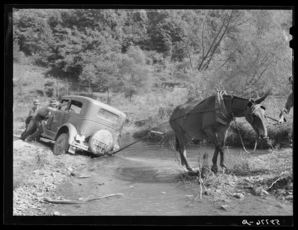 ky photo exhibit mule