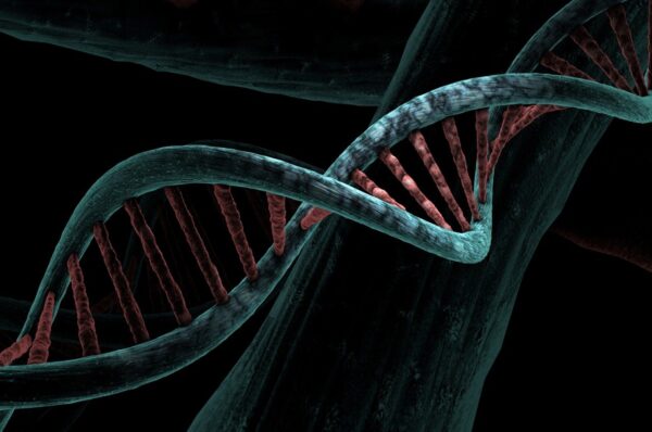 dna sequence