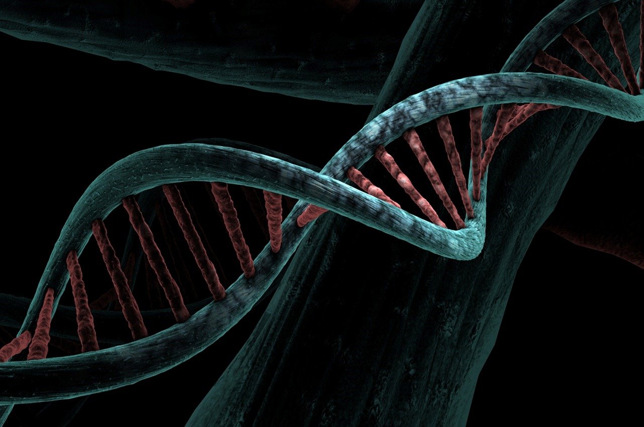 dna sequence