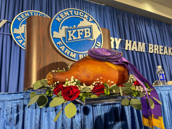 purple ribbon on ham
