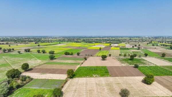 farmland