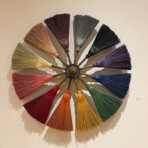 brooms cadiz