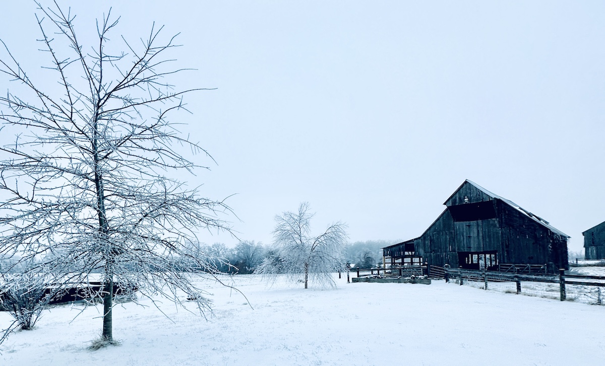A snowy scene near the Bennettstown community in South Christian. (Photo by Yvette Smithson Holmes)
