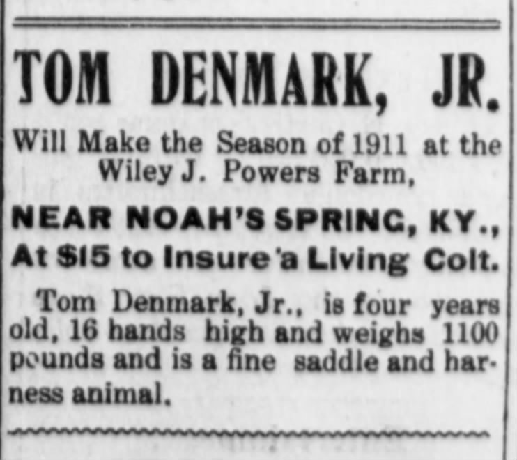 Newspaper advertisement for a stallion named Tom Denmark Jr. standing for breeding near Noah’s Spring, Kentucky, in 1911.