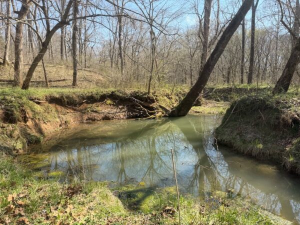 Noah's Spring water