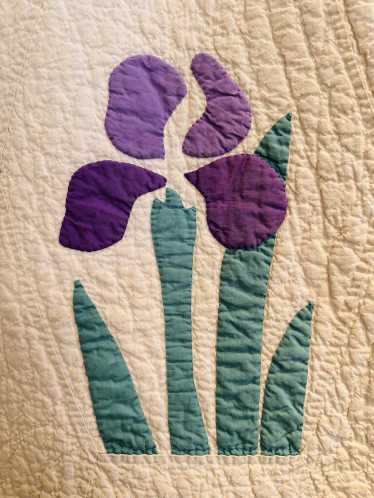 green and purple quilted iris flower