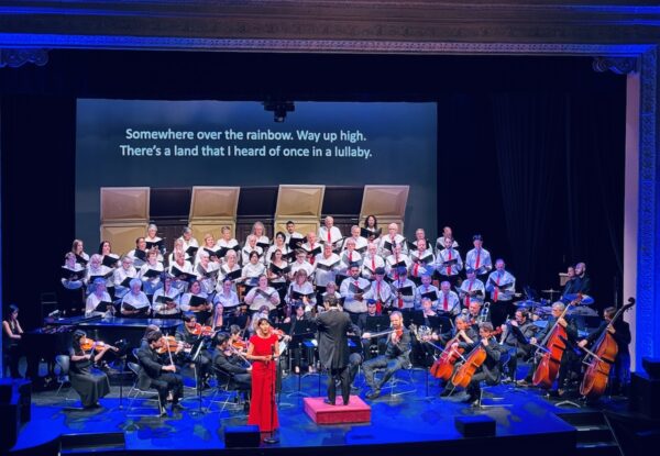 Chamber orchestra