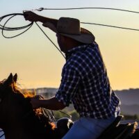 man on horse with lasso