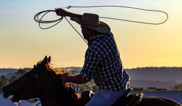 man on horse with lasso