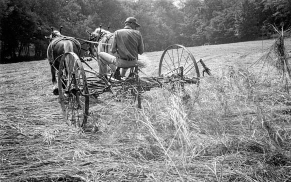 Wendell Berry: A life spent supporting small farmers