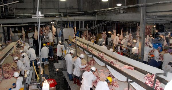 200417-meatpacking-slaughterhouse-workers-pandemic-coronavirus-covid-19-jbs-smithfield-3-usda-slaughterhouse