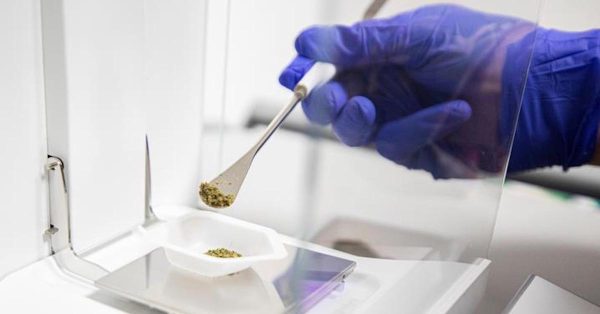 cannabis research lab