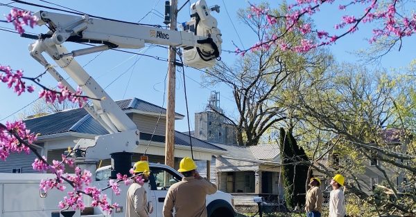 A crew for Hopkinsville Electric System works to repair utility poles and electric lines Saturday morning on Clay Street near 15th Street. (Hoptown Chronicle photo by Jennifer P. Brown)