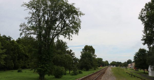 Train tracks in Bardwell, the Carlisle County seat. (Kentucky Lantern photo by Liam Niemeyer)