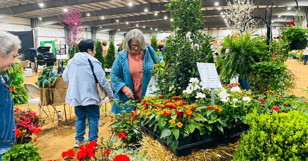 garden and outdoor living expo