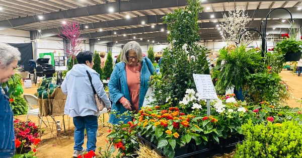 garden and outdoor living expo