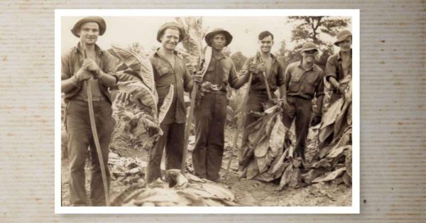 German POWs on Christian County tobacco farm