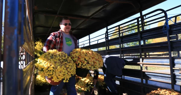 Mitchell "Tate" Hall, Vice President of the Kentucky Hemp Association, helps unload mums for Planting Day 2022. (Photo by Mason Galemore, WKMS)