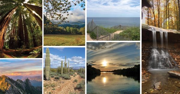 Seven national parks will have poetry installed as public art as part of U.S. Poet Laureate Ada Limón’s signature project, "You Are Here." An anthology of original nature poetry, curated by Limón, is also planned for release in April 2024. (Image courtesy of Library of Congress)