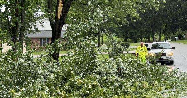 Dave Herndon, assistant director of Hopkinsville Public Works, pulls trees limbs out of Remington Road following a severe storm Sunday morning. (Hoptown Chronicle photo by Jennifer P. Brown)