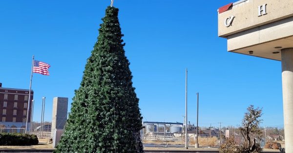 Mayfield Christmas tree