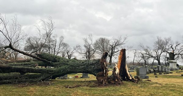 A tornado that traveled through Christian County in December 2021 damaged several trees and headstones in the Rosedale Cemetery in Pembroke. (Pembroke Fire Department photo)
