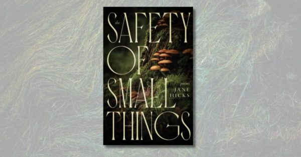 Safety of Small Things