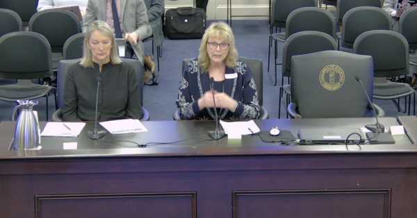 Norma Hatfield (right) and Sen. Julie Raque Adams, R-Louisville, present Senate Bill 151. (Screenshot)