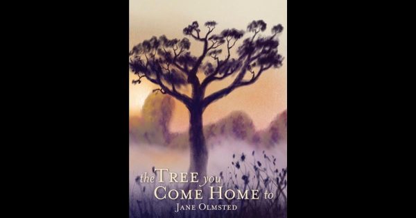 The Tree You Come Home To cover